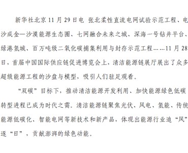 追“風(fēng)”逐“日” 綠能澎湃 ——從首屆鏈博會看能源變革