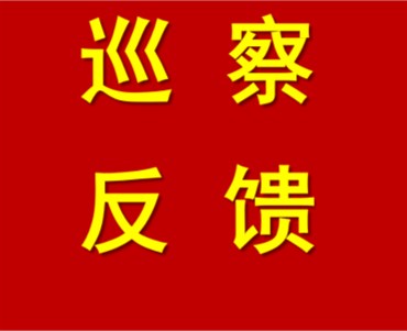 區(qū)黨工委召開巡察區(qū)屬國有企業(yè)集中反饋會